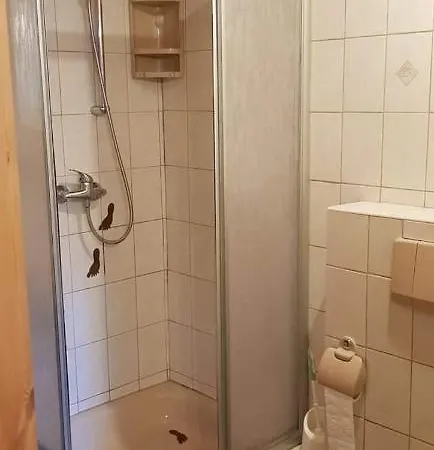 Haus Andrea Apartment *